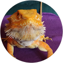 Marcela V. profile picture